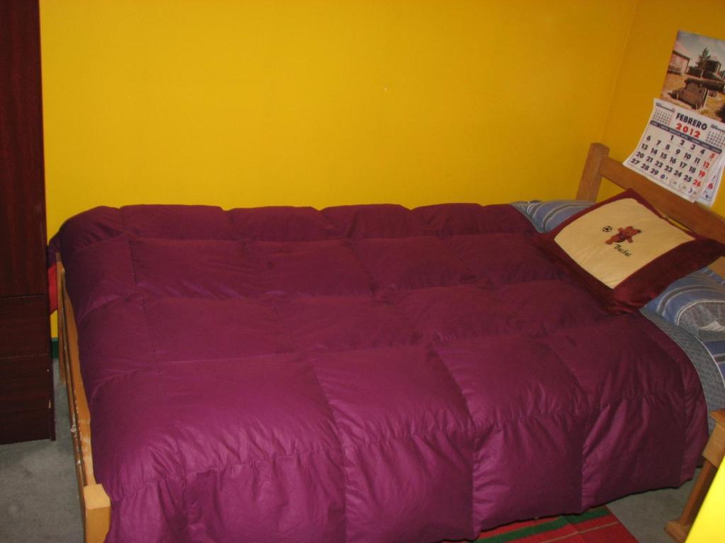 Hostal El Mirador Punta Arenas Chambre photo